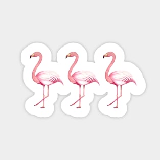 Three Tropical Flamingos Design Sticker